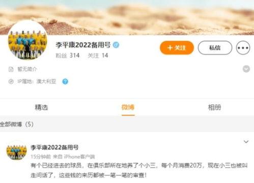 李平康的最新爆料,揭秘事件背后惊人真相 第1张 李平康的最新爆料,揭秘事件背后惊人真相 第1张