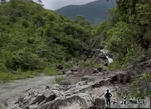 网友爆料莲花山事件视频,网友爆料视频揭示惊人真相